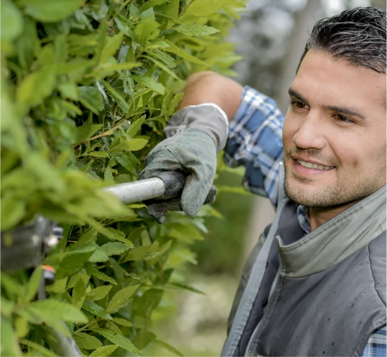 Jetzt mehr Aufträge auf Gärtner-123 erhalten